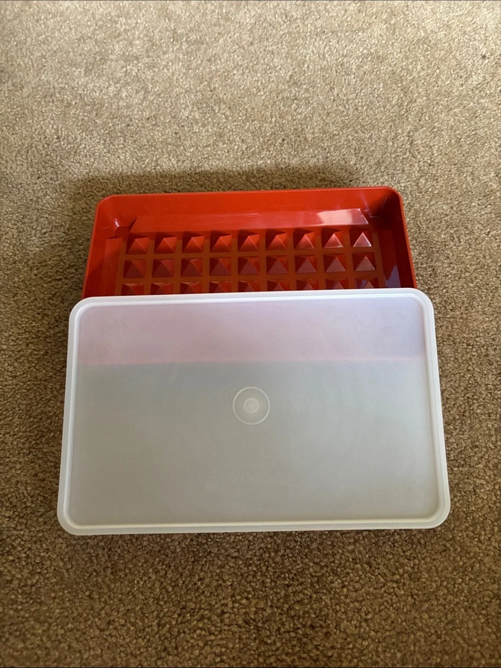 Tupperware Marinade with Frosted Lid